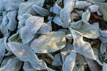 Similar image 21107474