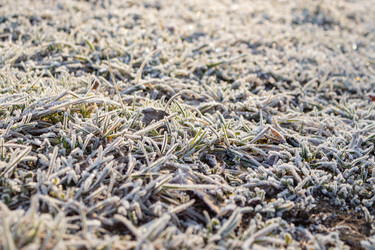 Similar image 21107476