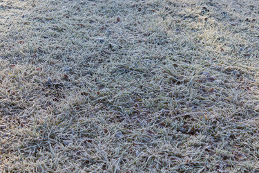 Similar image 21107477