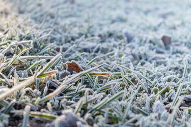 Similar image 21107478