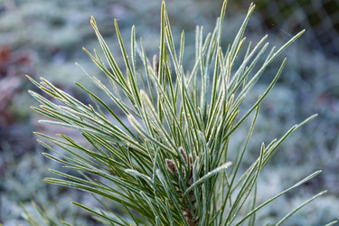 Similar image 21107480