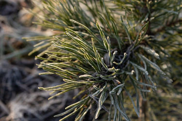 Similar image 21107486