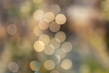 Similar image 21107488