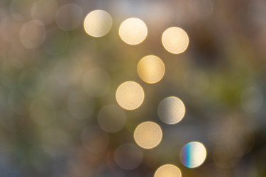 Similar image 21112549