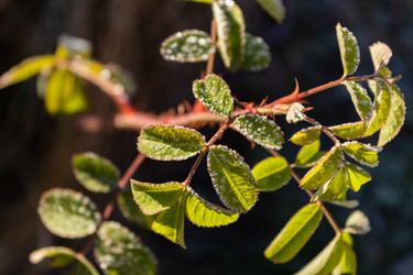 Similar image 21112560