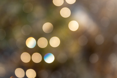 Similar image 21105312