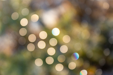 Similar image 21105313