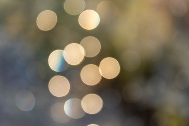 Similar image 21105319