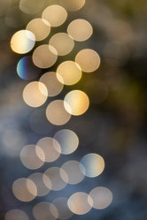 Similar image 21105322