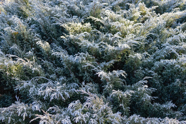 Similar image 21107299