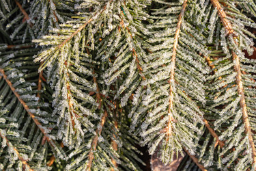 Similar image 21107300