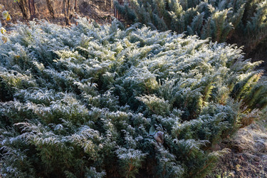 Similar image 21107302