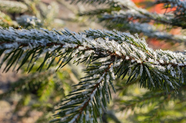 Similar image 21107303