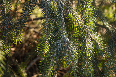 Similar image 21107304