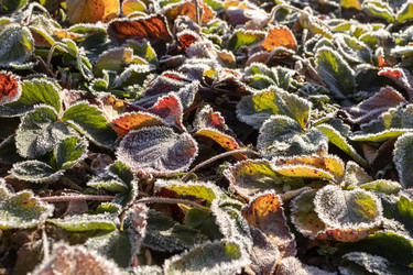 Similar image 21107306