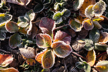 Similar image 21107307