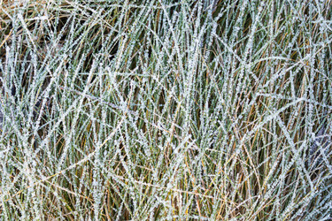 Similar image 21107308