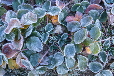 Similar image 21107309