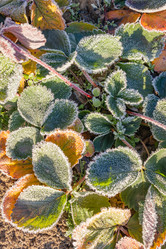 Similar image 21107311