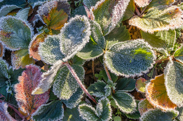 Similar image 21107312