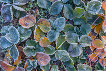 Similar image 21107313