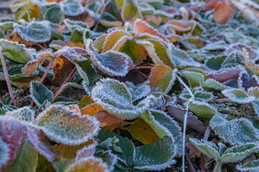 Similar image 21107314