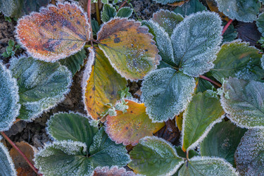 Similar image 21107315