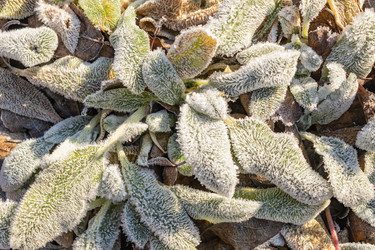 Similar image 21107316