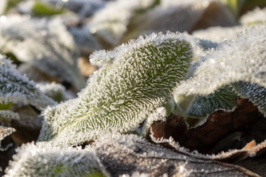 Similar image 21107317