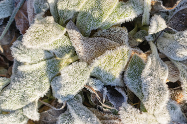 Similar image 21107318