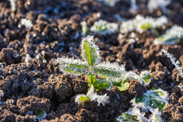 Similar image 21107320