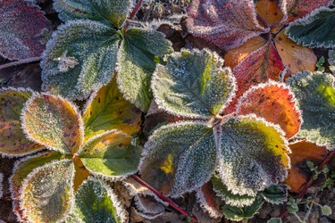 Similar image 21107321