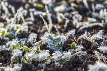 Similar image 21107322