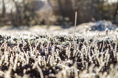 Similar image 21107323