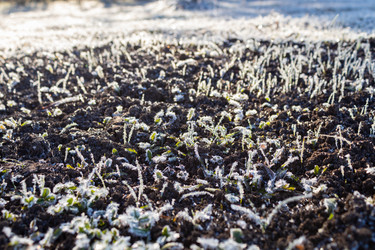 Similar image 21107324