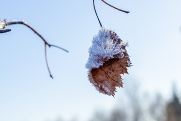 Similar image 21107325