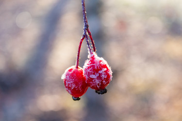 Similar image 21107326