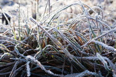 Similar image 21107327