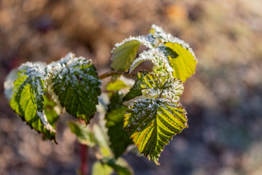 Similar image 21107328