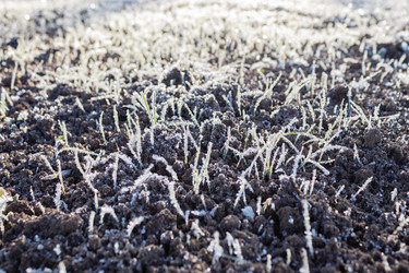 Similar image 21107329