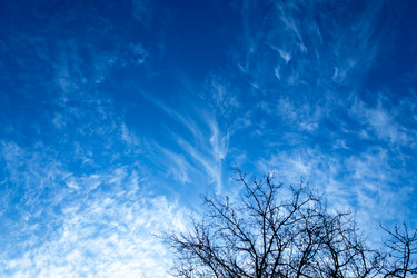 Similar image 21107335