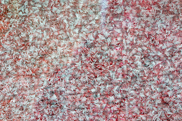 Similar image 21107390