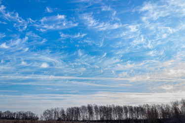 Similar image 21107391