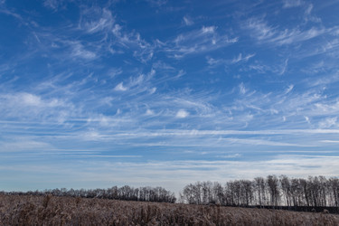 Similar image 21107392