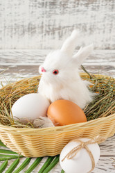 Similar image 21083406