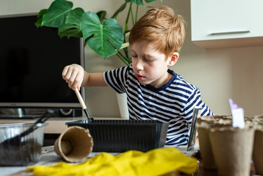 Similar image 21104511