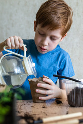 Similar image 21104514