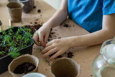 Similar image 21104515