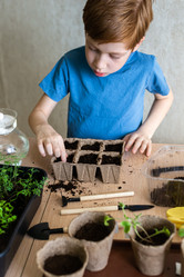 Similar image 21104516