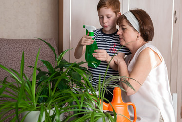 Similar image 21104521